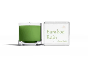 Bamboo Rain