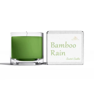 Bamboo Rain