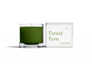 Forest Fern