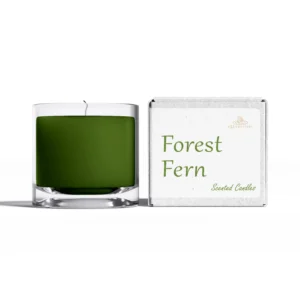 Forest Fern